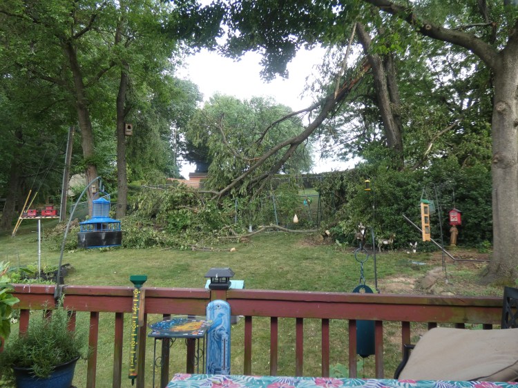 Storm Damage